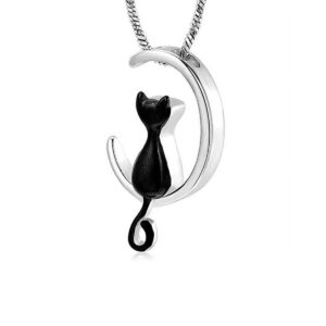 Dije Luna Gato Negro