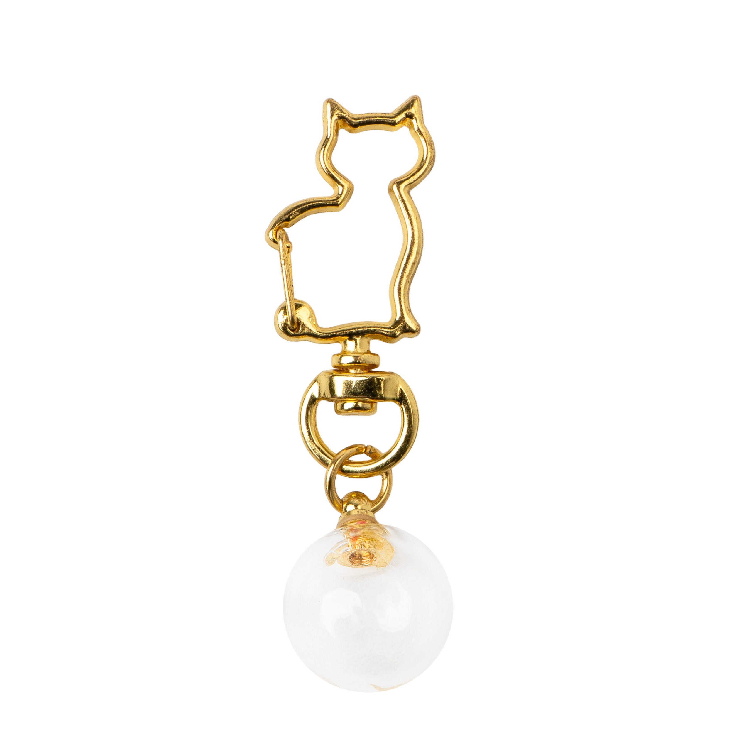 llaver-capsulo-conmemorativa-gato